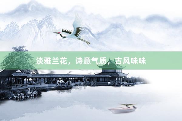 淡雅兰花，诗意气质，古风味味